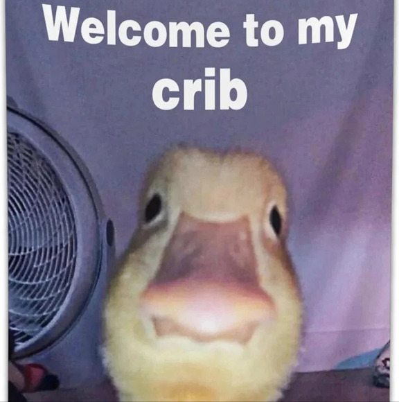 Welcome to My Crib Funny Flag 2x3Ft Wall Flag with 4 Brass Grommets for Party Ga - Picture 3 of 3